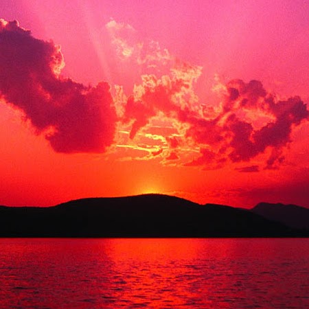 Nancy Blank Photo 10