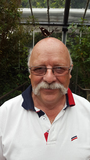 Phillip Walsh Photo 12