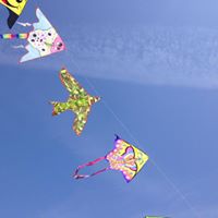 Susana Pacheco Photo 39