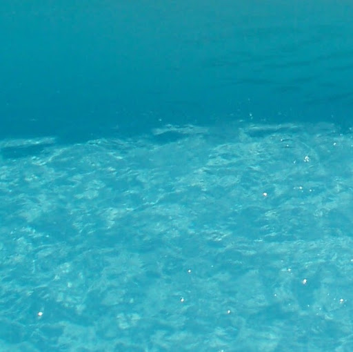 Tracy Herman Photo 11