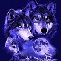 Coleen Carpenter Photo 5