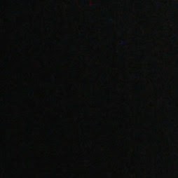 Dillon Buck Photo 1