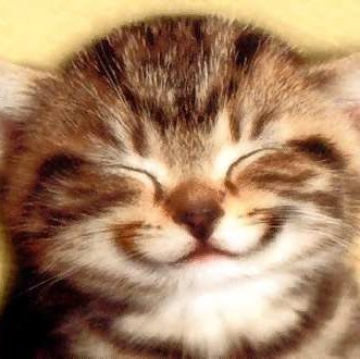 Alyssa Brooks Photo 8