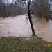 Susan Snead Photo 15