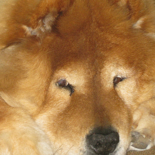 Janice Howard Photo 32