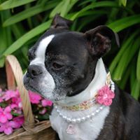 Gail Belliveau Photo 3