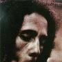 Robert Marley Photo 11