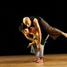 Lee Kaufman Photo 18