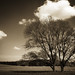 Edgar Howell Photo 6