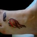 Robin Potter Photo 45