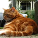 Kristopher Aaron Photo 11
