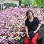 Yee Yeung Photo 15