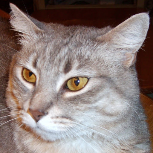 Kathleen Kilpatrick Photo 20