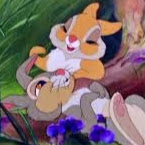 Ann Collins Photo 44 Ann Collins Photo 44