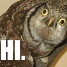 Julie Dotson Photo 19