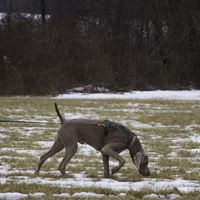 Allison Lucas Photo 10