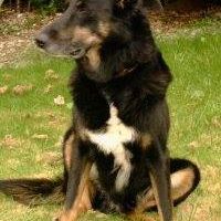 Nicole Scheffler Photo 8