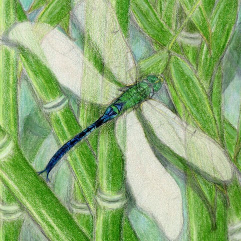 Cathy Frank Photo 33