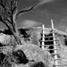Mary Neely Photo 26
