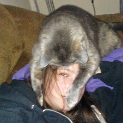 Kirstin Morris Photo 8