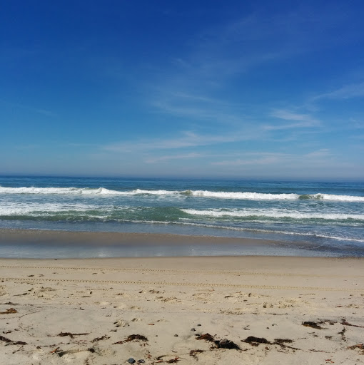 Sherry Steele Photo 31