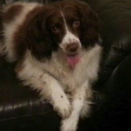 Evelyn Nelson Photo 31