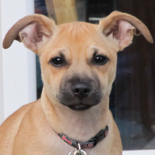 Robert Sweeney Photo 57 Robert Sweeney Photo 57