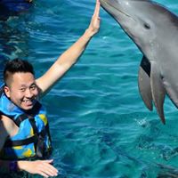 Chuong Trinh Photo 12