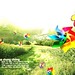 Chong Ng Photo 18