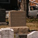 Rebecca Heckman Photo 12