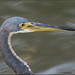 Stephen Parsons Photo 47