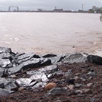 Sara Mayfield Photo 25