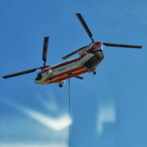 Lloyd Lewis Photo 39 Lloyd Lewis Photo 39