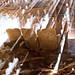 Ray Kalman Photo 6