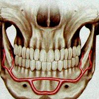 Stephen Macleod Photo 13