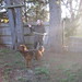 Karen Lyles Photo 16