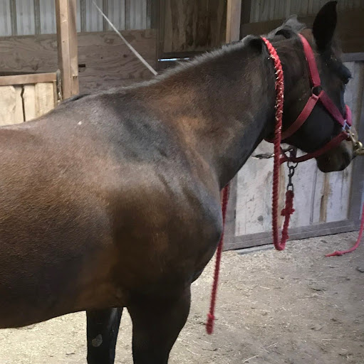 Heather Proctor Photo 38