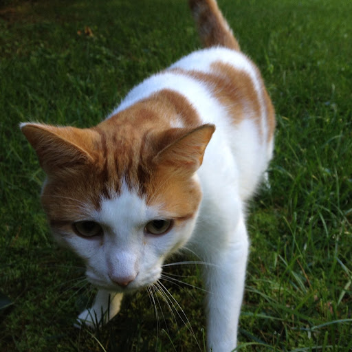 Patrick Eagan Photo 16 Patrick Eagan Photo 16