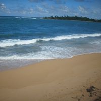 Richard Baxter Photo 48