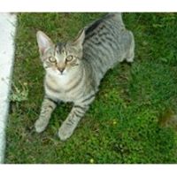 Faye Jenkins Photo 17