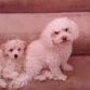 Elizabeth Valdivia Photo 22