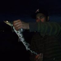 Kyle Flanders Photo 28