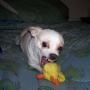 Paula Harmon Photo 40