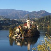 Suzanne Butler Photo 6