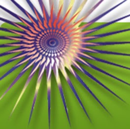 Tracey Evans Photo 18