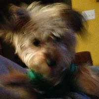 Nicholas Erickson Photo 12