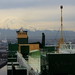 Steven Rainer Photo 11