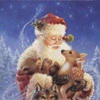 Cheryl Nolte Photo 4