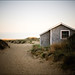 Laurie Cook Photo 24