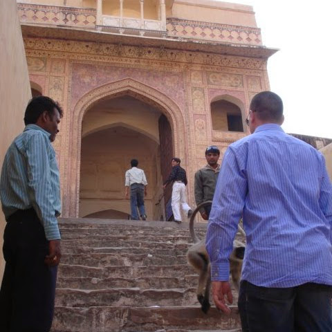 Joseph Gilbert Photo 57 Joseph Gilbert Photo 57